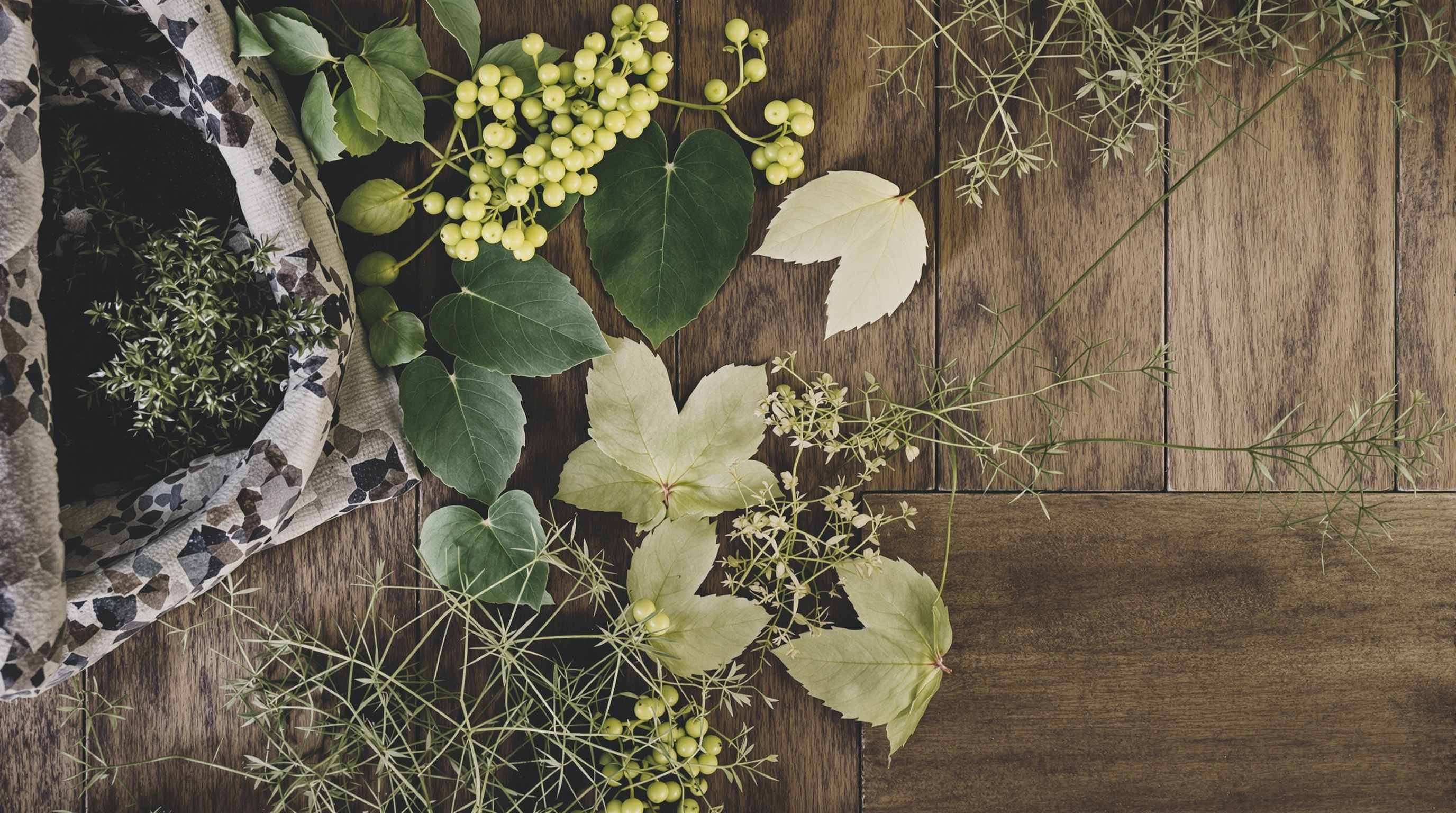 Cultivated Living Blog: Embrace Intentional & Mindful Living
