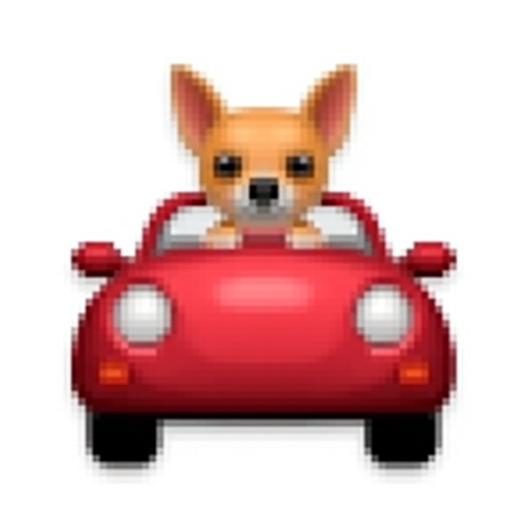 Chihuahua driving a roofless car